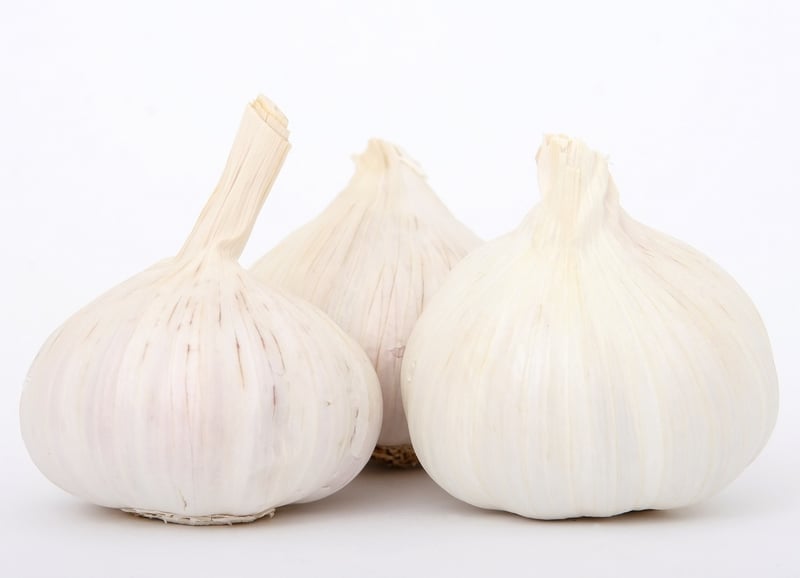 Savoring Flavors Mindfully
